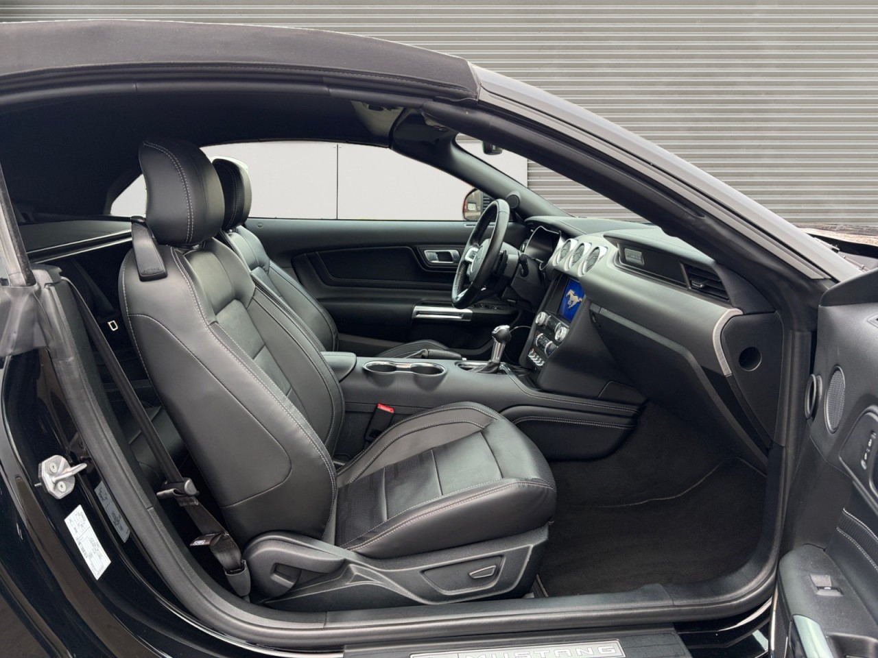 Bild 9 - Mustang Convertible GT 5.0 Ti-VCT V8 Klima Navi